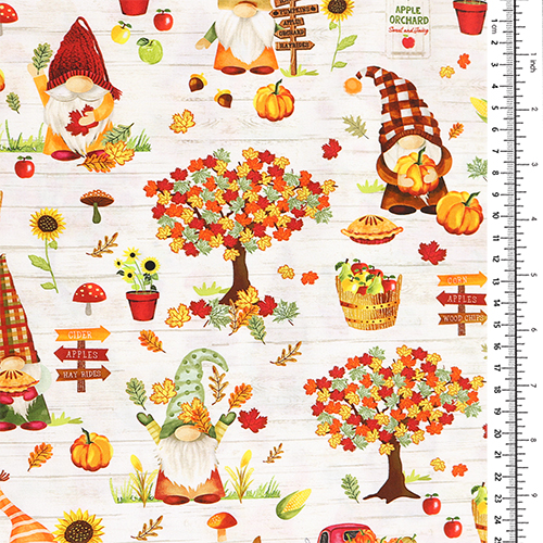 Gnomes d'Automne Champ de Citrouilles Cueillette de Pommes 1