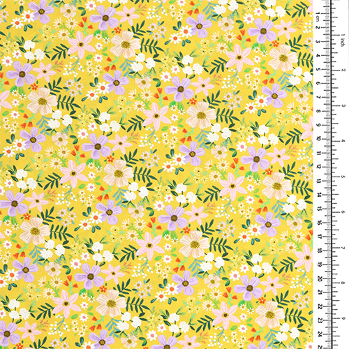 Nähe Blumen Hübsche Blumen Senf 1
