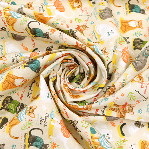 Races De Chats Jouets Pulls Poissons 2