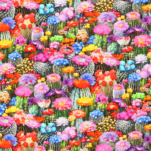 Fleurs panouies Populage Des Marais Cactus Du Dsert Tissu par Timeless Treasures