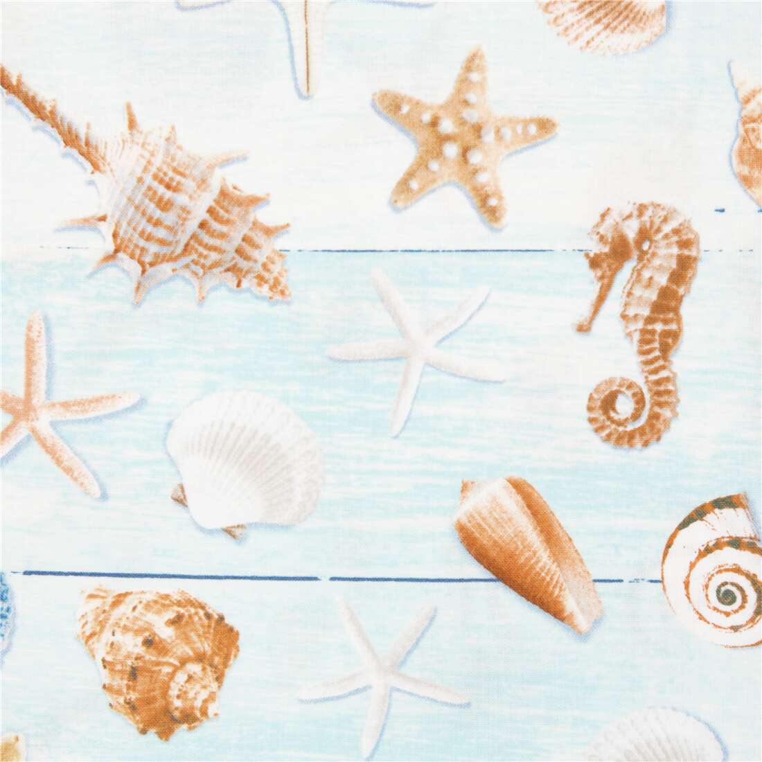 Cotton USA fabric with shells on sun bleached boards light blue Fabric
