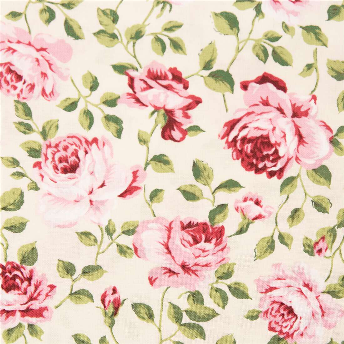 Cream cotton shirting fabric with lush pink roses and trailing foliage ...