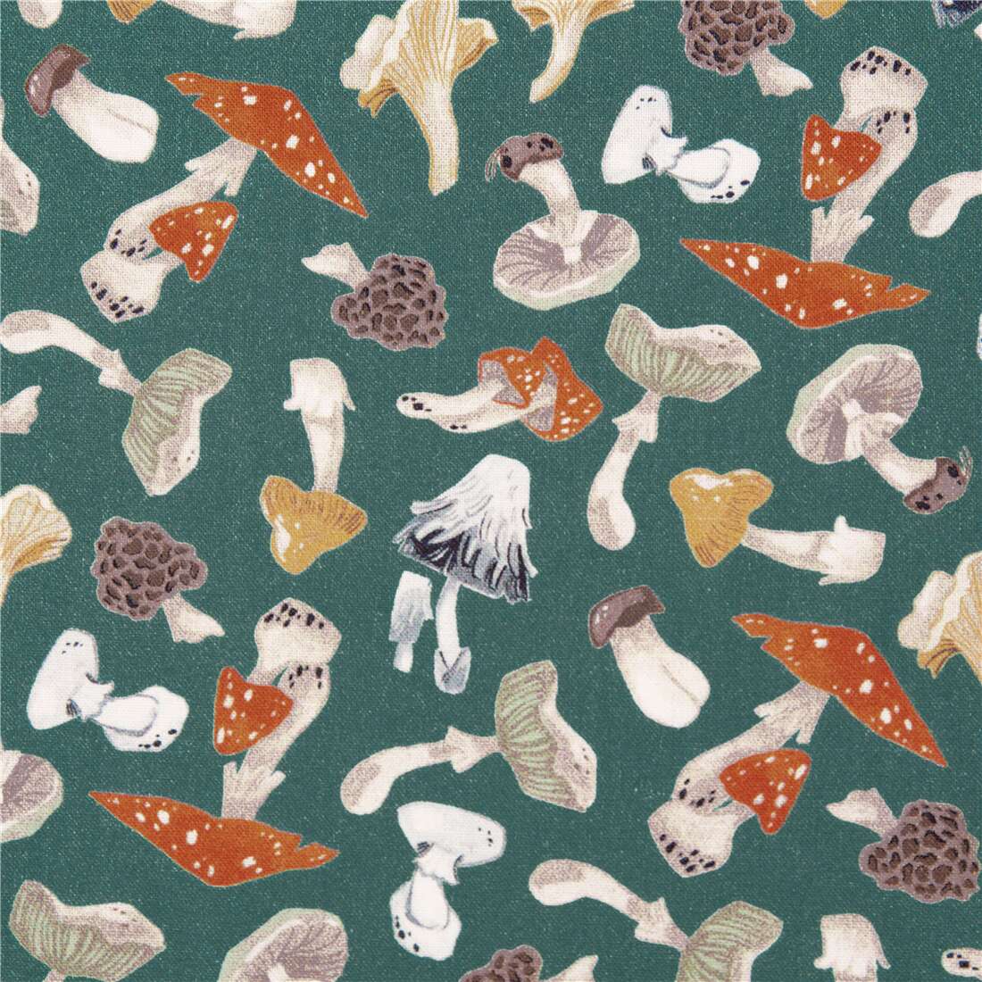 Mushroom City Tumbling Toadstool Morels Fabric by Dear Stella - modeS4u