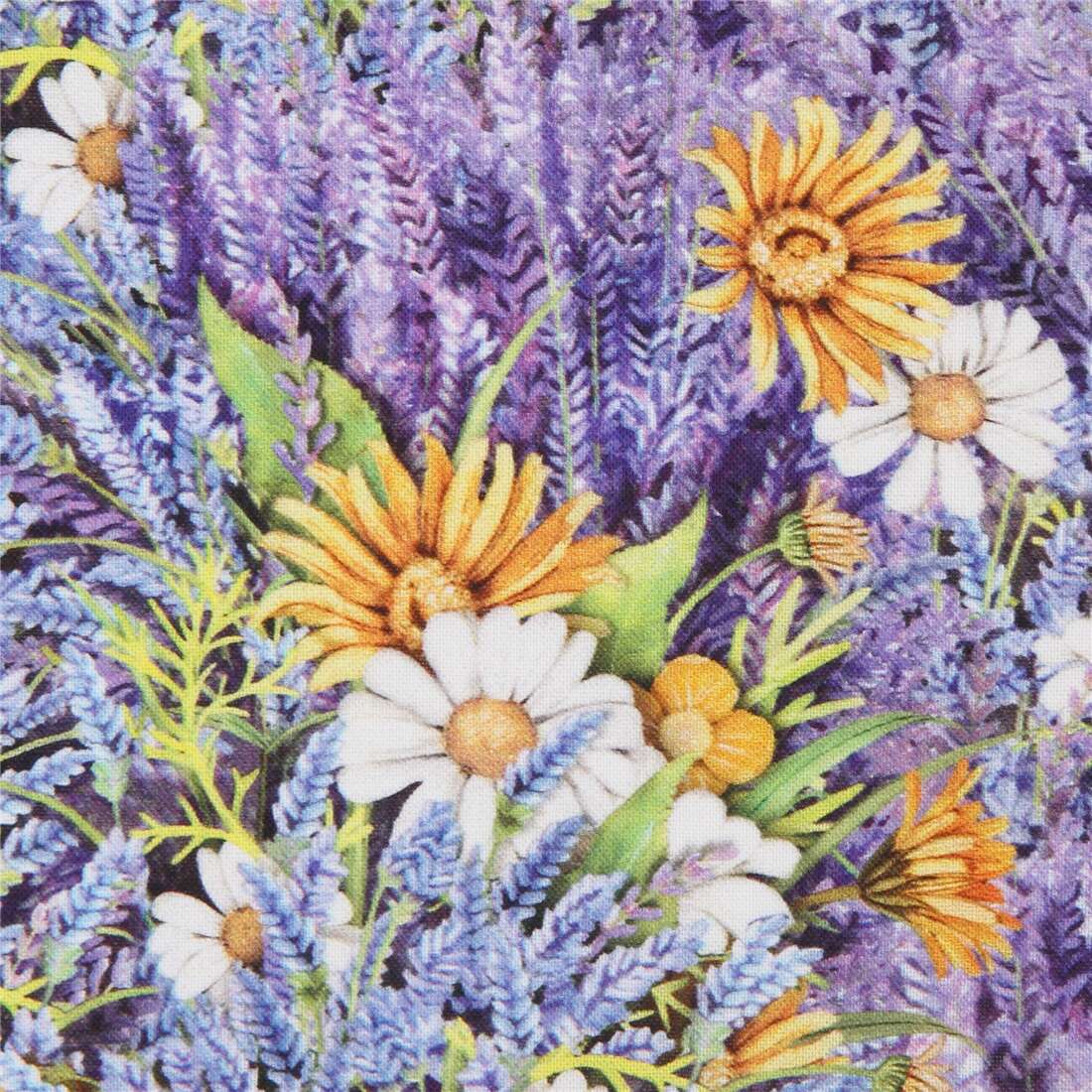 Robert Kaufman lavender flower fabric Everyday Favorites Digital - modeS4u