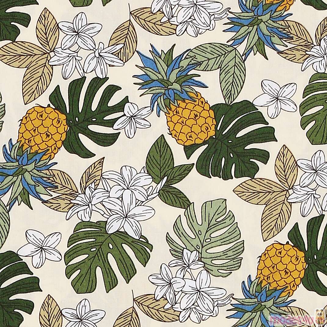 TransPacific Textiles natural color fabric pineapple leaf Fabric by