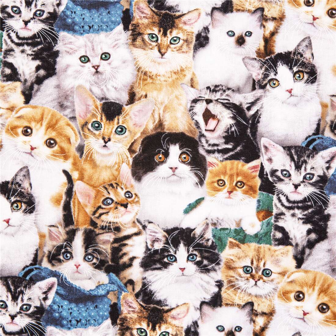 animal fabric with kittens pets themed Elizabeth's Studio - modeS4u