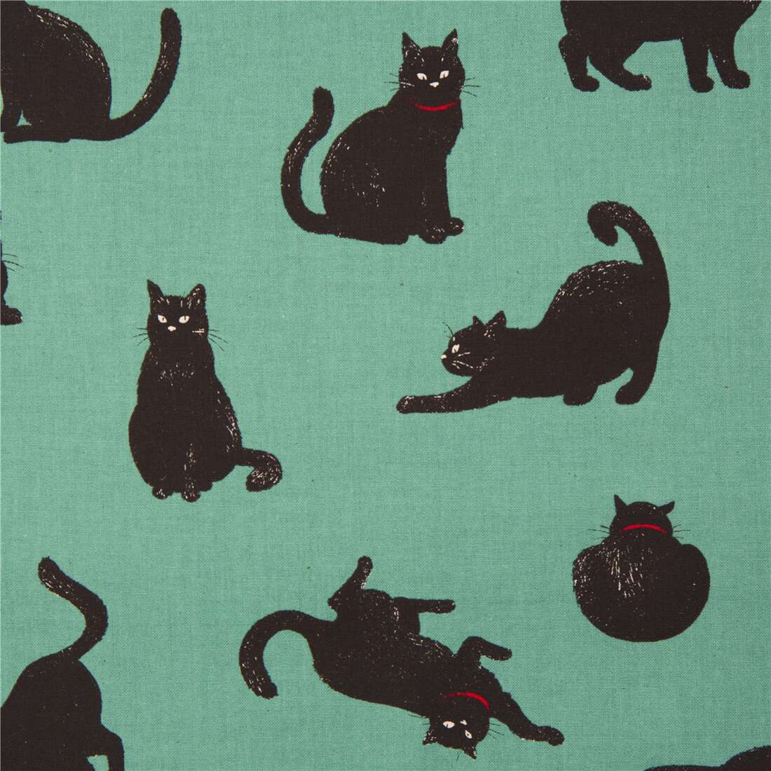 black cat red collar