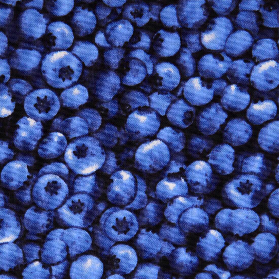 Blueberry Fruit Fabric By Timeless Treasures From The Usa Fabric By