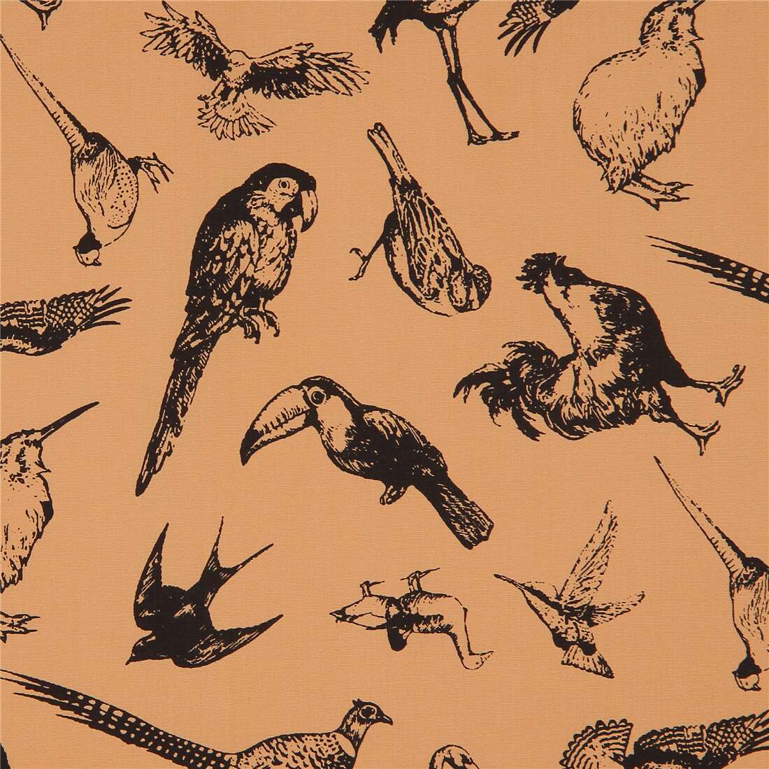 Inky Illustrated Exotic Tropical Birds Fabric by Japanese Indie - modeS4u