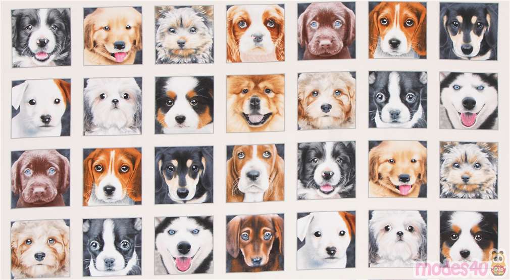 cream cute dog Adorable Pets fabric by Elizabeth's Studio modeS4u