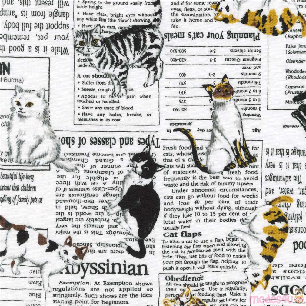 Remnant (39 x 112 cm) - light cream tossed cat and newspaper Robert Kaufman  fabric - modeS4u