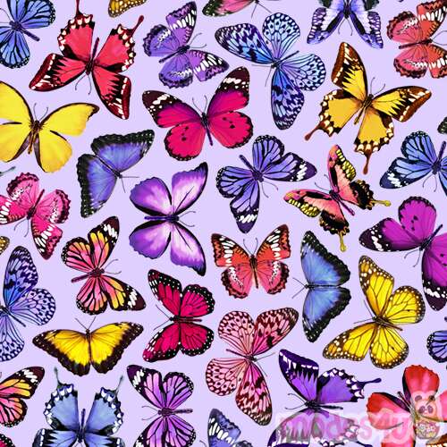 light purple Timeless Treasures colorful butterfly fabric - modeS4u