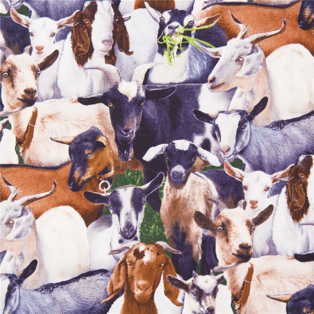 livestock densely packed on grassy background goats cotton fabric farm  animals - modeS4u