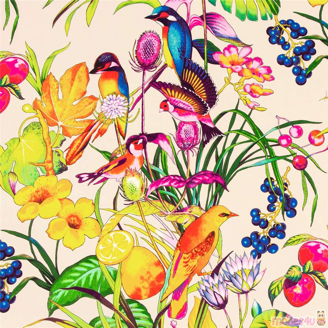 multicolour birds and leaves flowers tropical Alexander Henry beige fabric  - modeS4u
