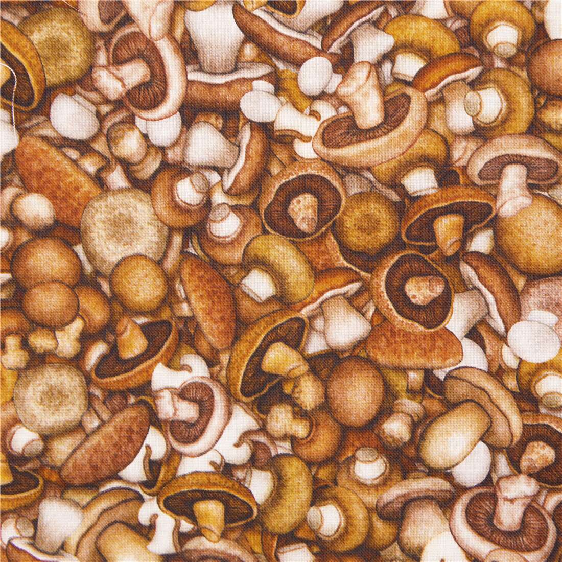 mushroom quilting fabric