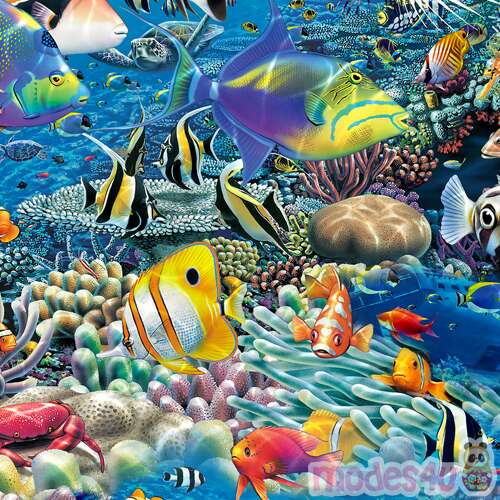 Ocean Fabric With Colorful Tropical Fish By Qt Fabrics - Modes4u