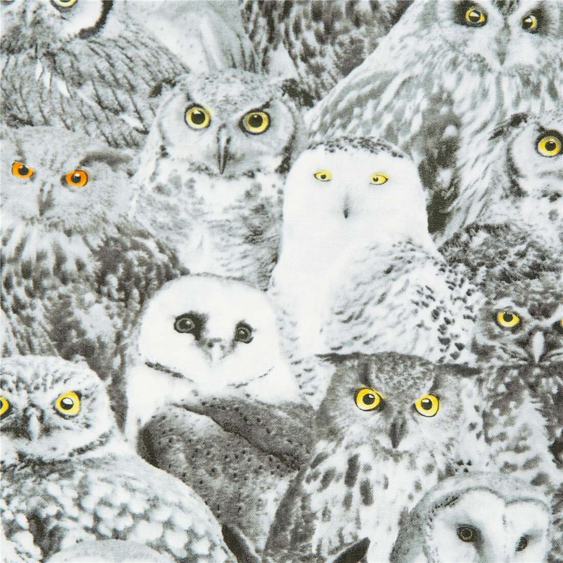 Owl fabric deals