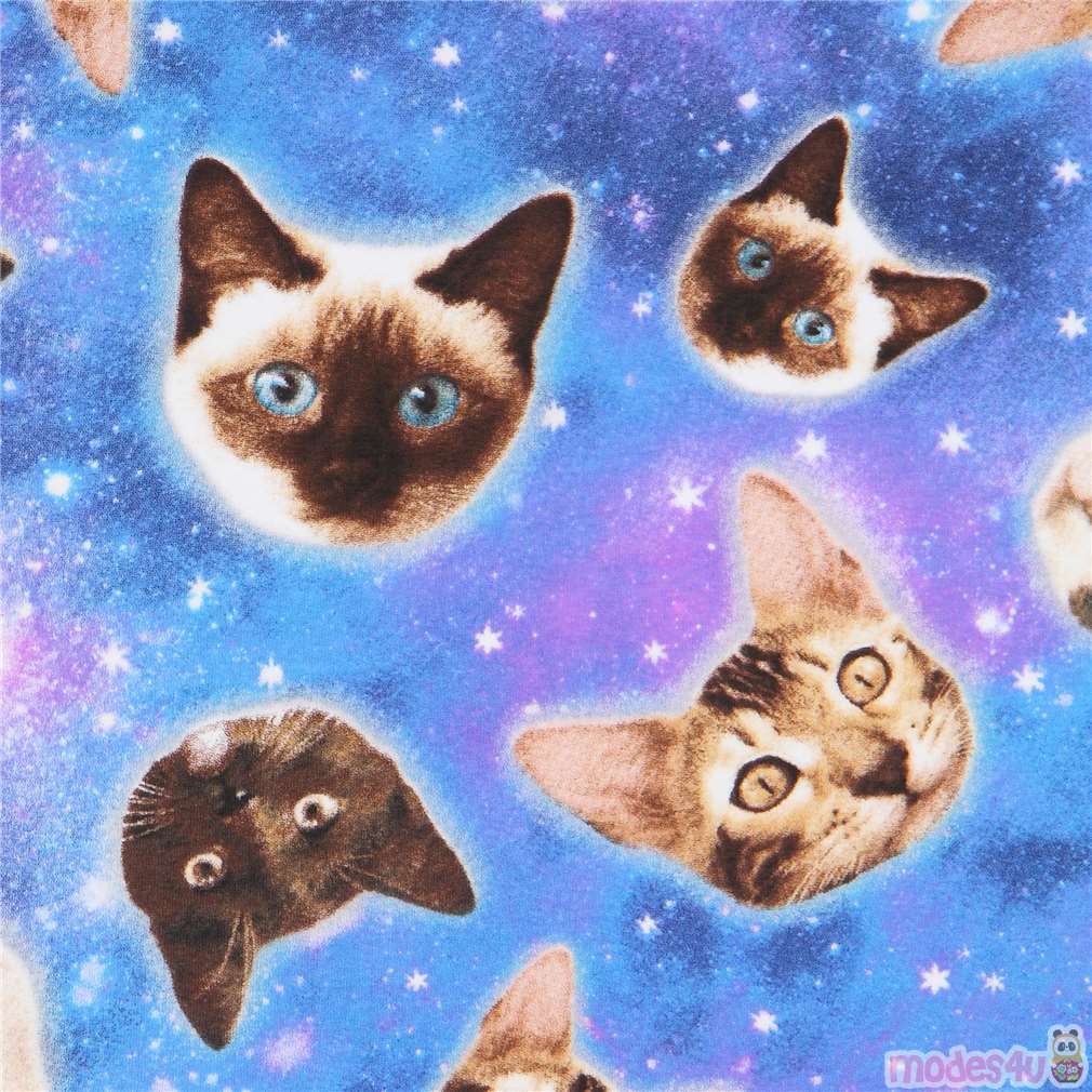 space cat knit fabric by Timeless Treasures Fabric by Timeless