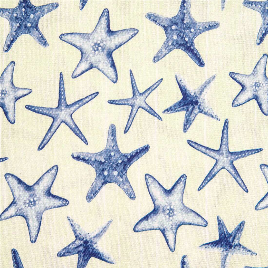 blue starfish wallpaper