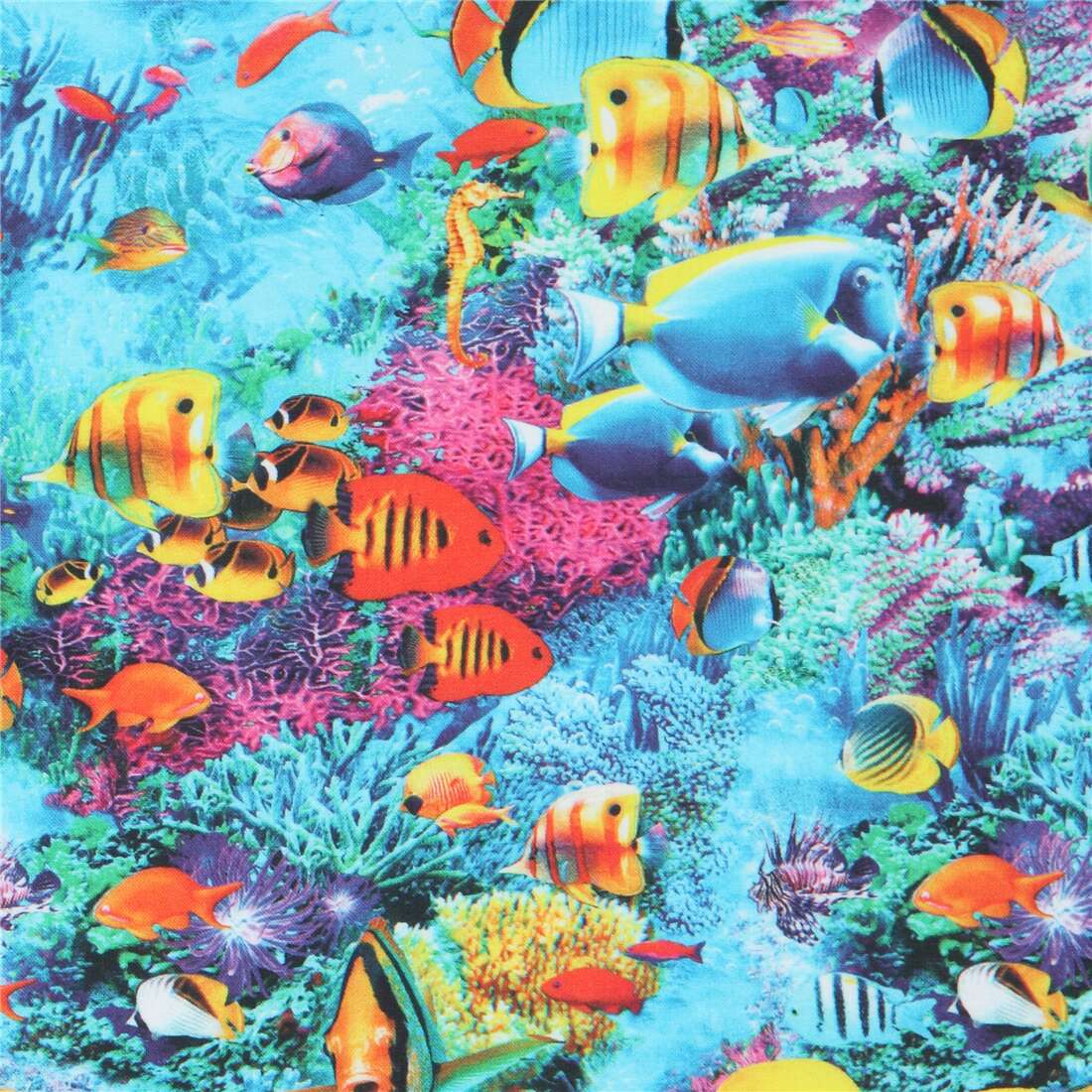 tropical fish fabric Robert Kaufman - modeS4u
