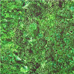 Tissu en coton thme des lgumes verts, avec du chou fris Tissu par Quilting Treasures