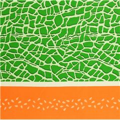 Tissu Oxford en coton srie fruits motif melon vert double bordure orange Tissu par Kokka