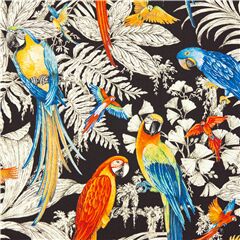 Tissu noir perroquets feuille palmiers tropicaux orchides fleurs Tissu par Michael Miller