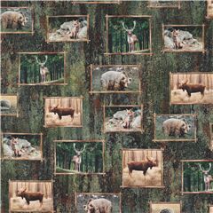 Tissu en coton vert avec des cerfs des ours la vie sauvage Tissu par Michael Miller