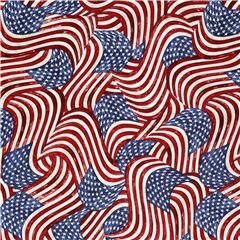 Tissu sur les tats-Unis avec pleins de drapeaux amricains Tissu par Timeless Treasures