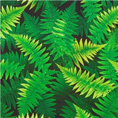 Delicate Illustrated Green Vines Rows Foliage Leaves Fabric by