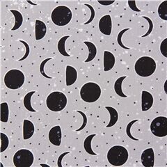 Tissu en coton gris phases de lune astronomie nuit cleste Tissu par Michael Miller