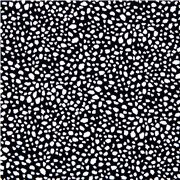 Black White Dot Dalmatian Spot