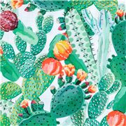 Cactus Fleurissant En Aquarelle Colorée