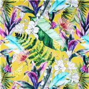 Exotisches Laub Und Kolibris