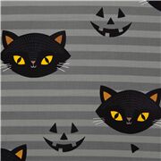 Hide N Go Kitty Striped Halloween Black Cat Jack O Lantern