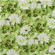Japan Baumwollhemdenstoff grün Gänseblümchen Blumen Chrysantheme