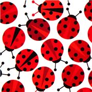 Ladybirds on White