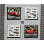 MG tela con panel de coches antiguos