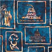 Batik Patriotic USA Icon in Frames