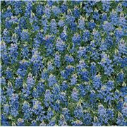 blaue Blumen grüne Blätter Baumwollstoff