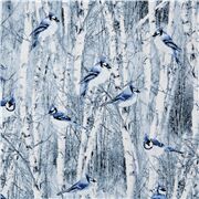 Tissu sur la nature avec des bouleaux blancs des oiseaux bleu