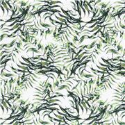 Feuilles Tropicales Délicates En Mouvement