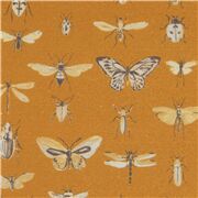 Moth Butterfly Insect Entomology Study