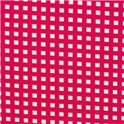 Carrés En Damier Rouge Et Blanc
