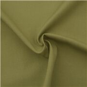 Japanese Solid Green Canvas