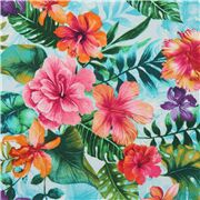 Hibiscus Paradise Tropical Flowers Leaves
