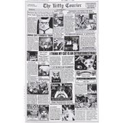 Cat Newspaper Supernatural UFO Remnant