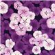 Kokka fabric with purple cherry blossoms flower Japan 1