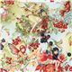 Michael Miller fabric Autumn Fairies berry fairy 1