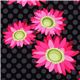 Michael Miller Stoff Stone Daisy Dot von Patty Young 1